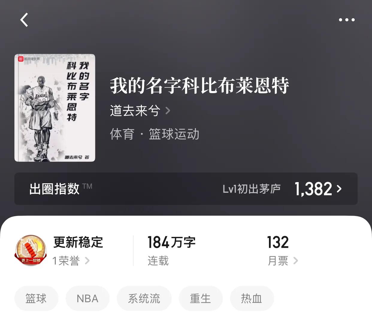 几本篮坛小说，在故事中我们看不到逝去，看到的是重新的辉煌