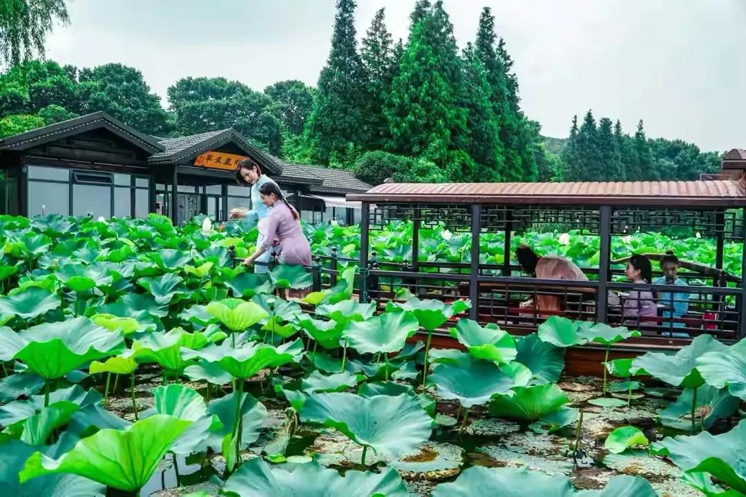 忆江南，一抹柔情心海澜，执笔江南，几分相思似水谈