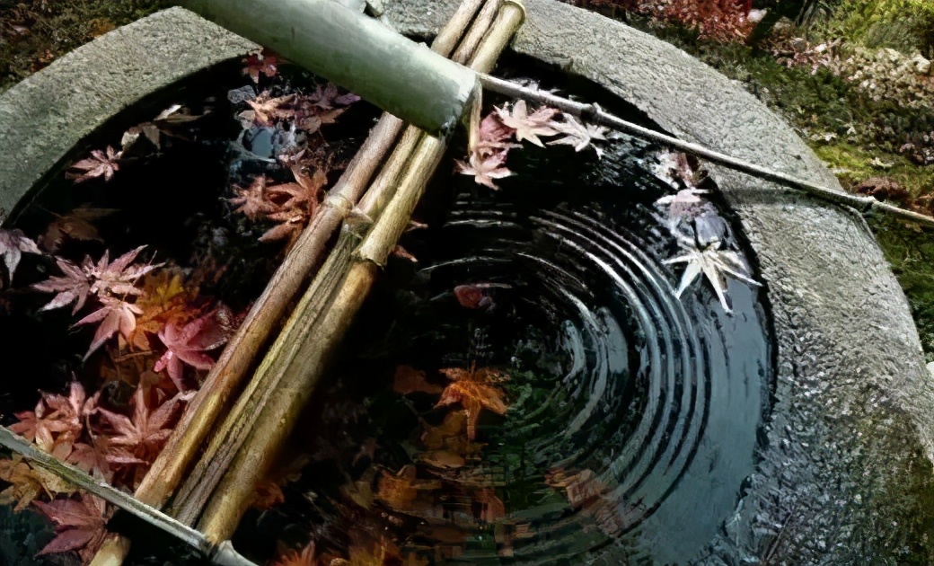 坚持到底的故事(为什么工资低还有人做)