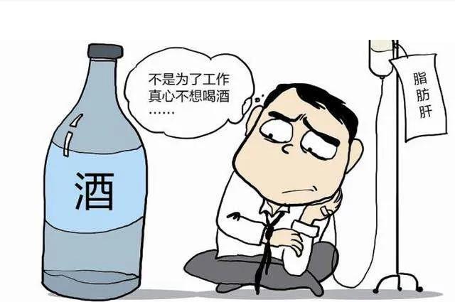 精辟拒酒术：优雅说不的艺术与技巧
