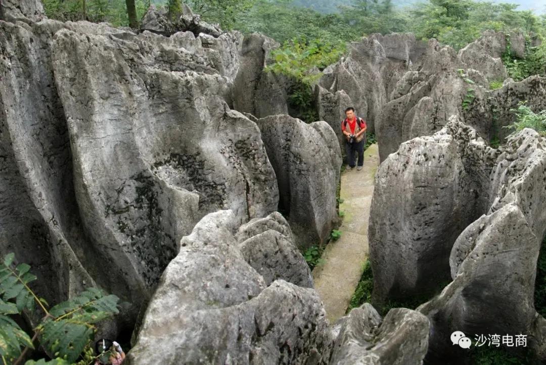 清沙湾图片