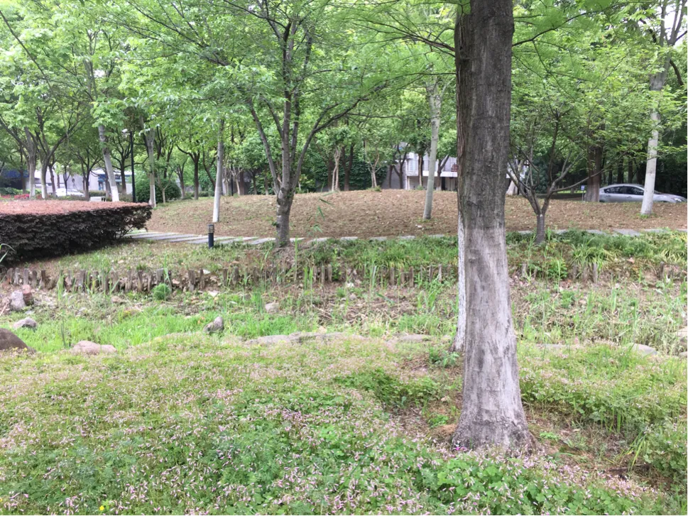 颜值这么高，是哪所高校呢？苏州大学独墅湖校区正在越变越美