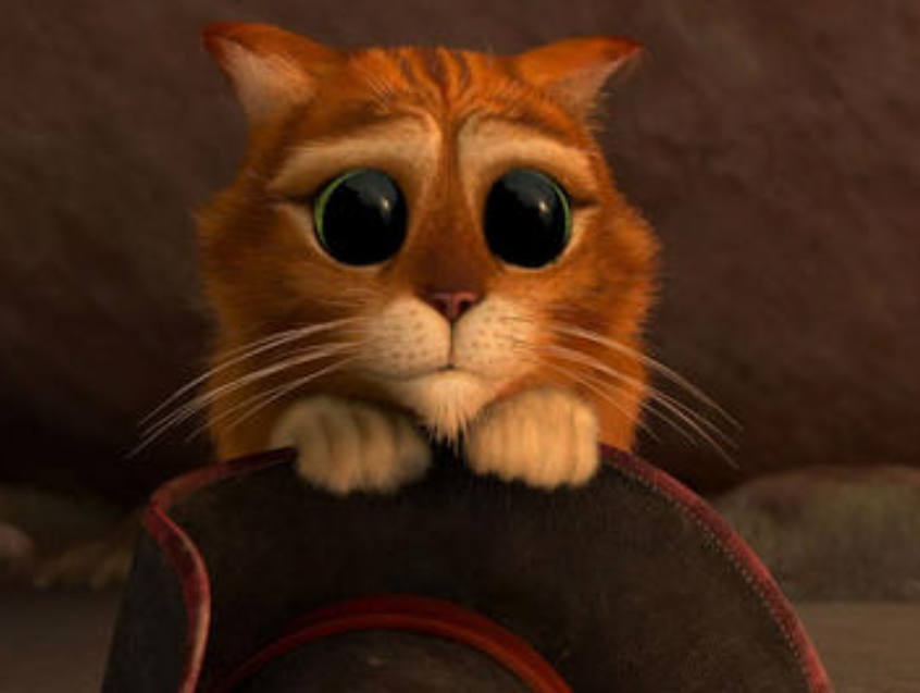 穿靴子的猫:人一生犯错不可怕,可怕的是我们一错再错