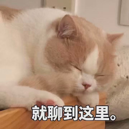 猫咪表情包：可以但没必要，有必要但不可以