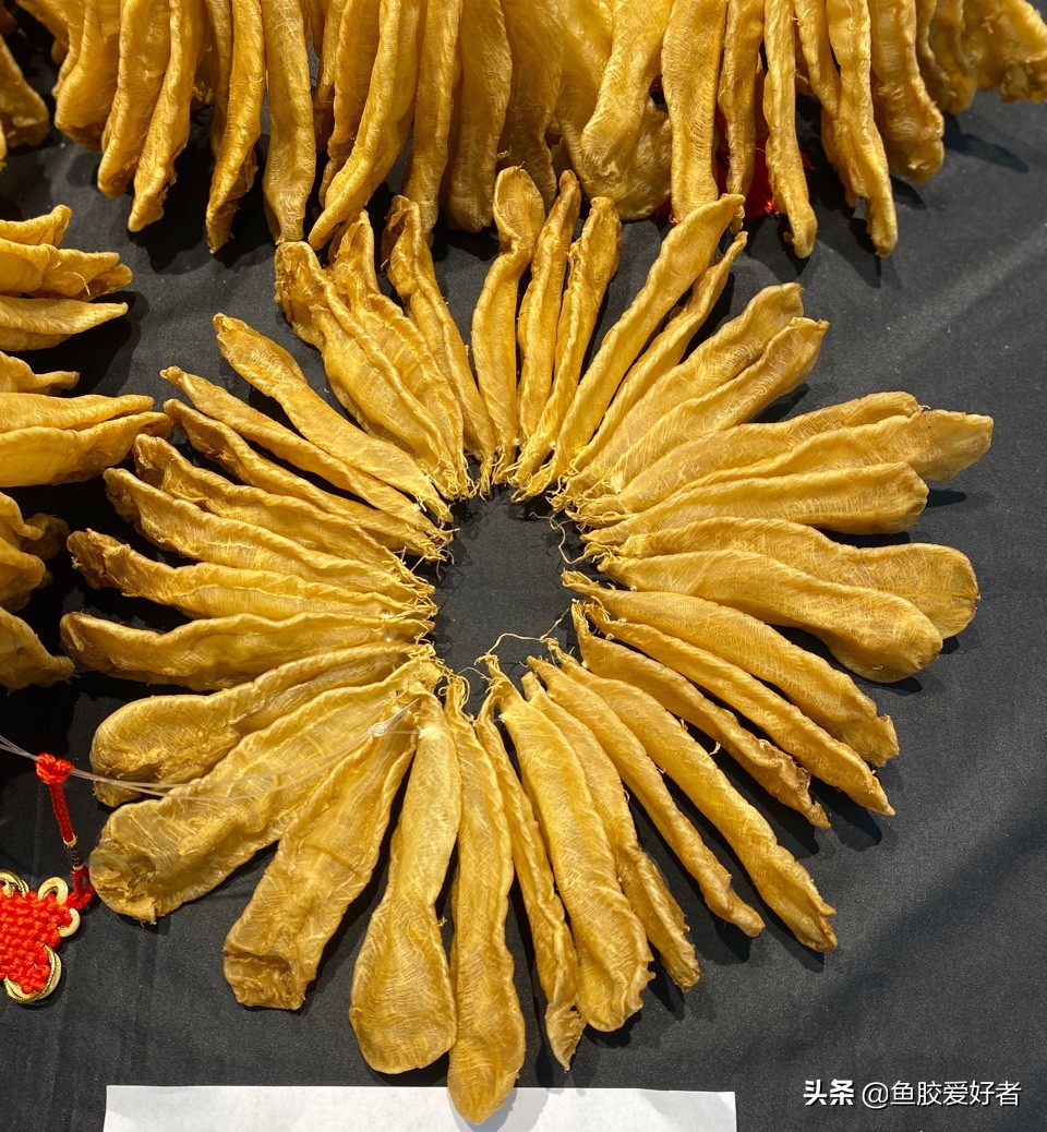 鱼胶越大越好吗？赶快学会这几个技巧，难怪之前都白吃了