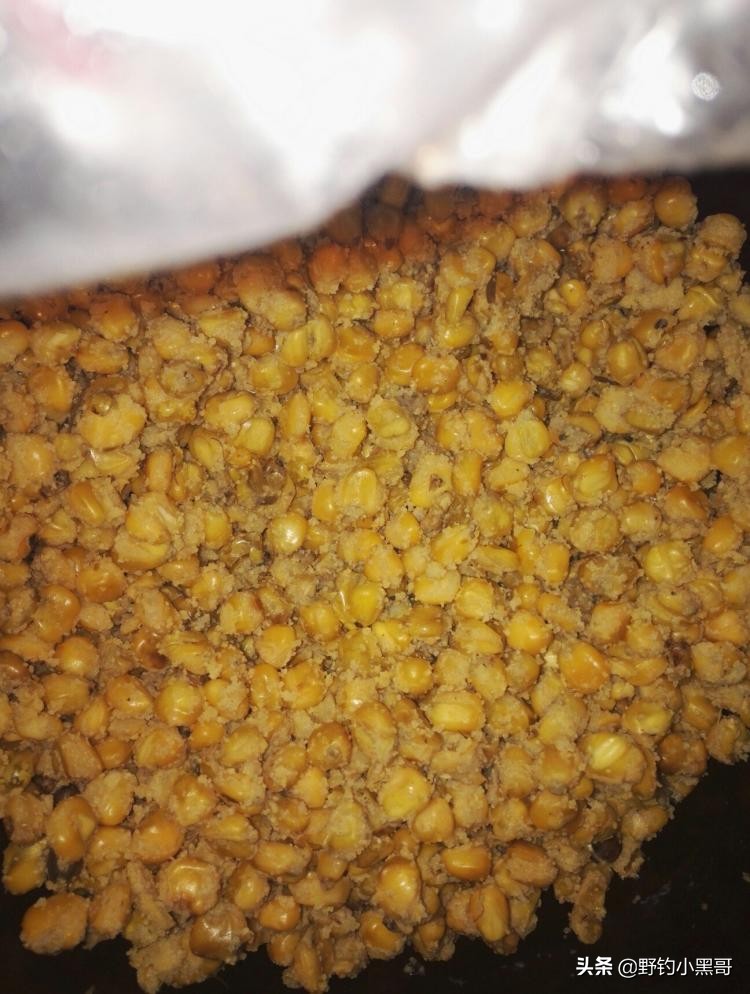 釣鯉魚用什么餌,釣鯉魚用什么餌料最好