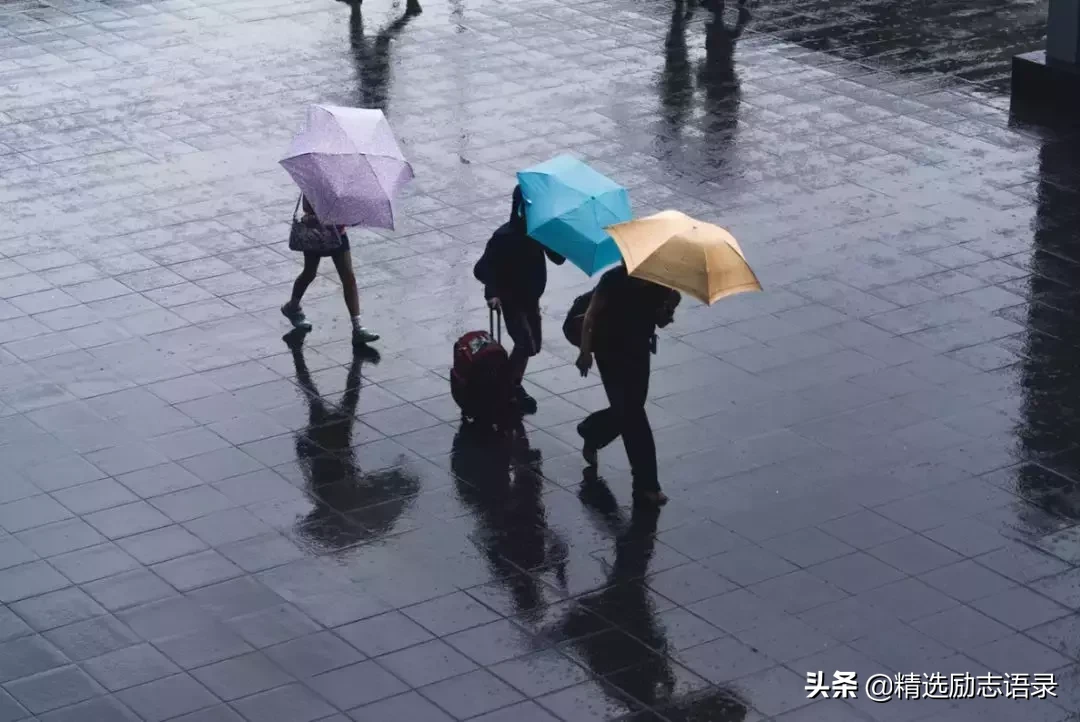 生活如雨，有伞就好