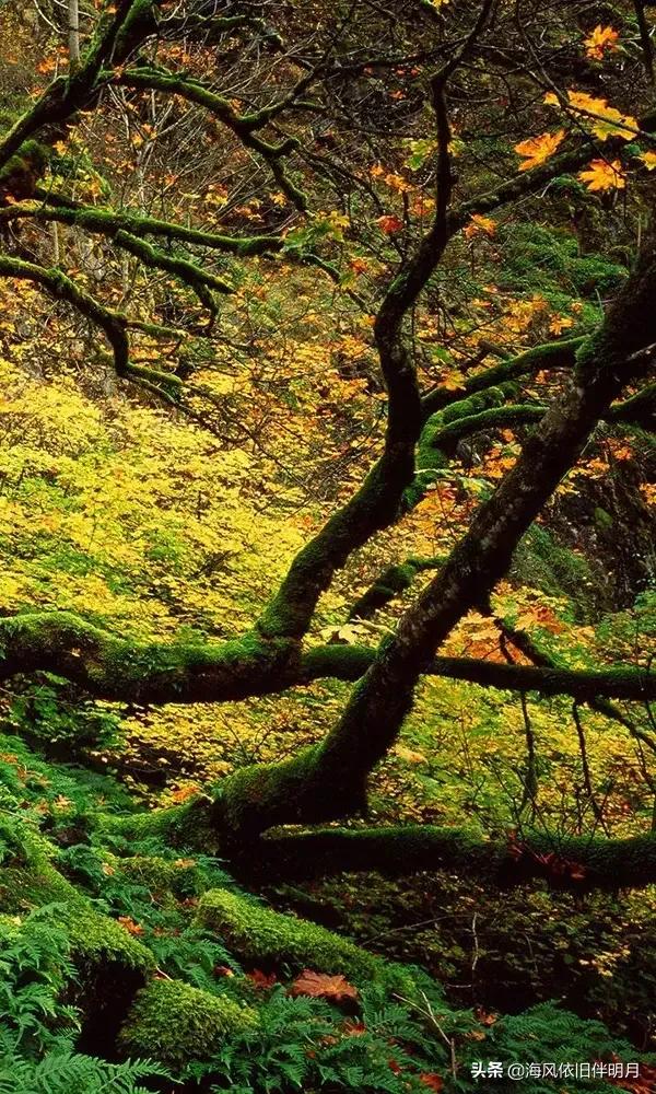 唯美自然山水风景图库