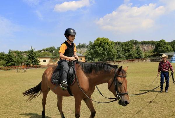 清华效仿国际化课程，700多门课改全英语授课，学生的反应很真实