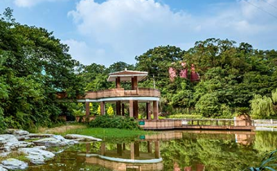 四川外国语大学2017-2018年录取分数线