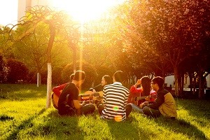 6个专业通过工程教育认证！陕西这所高校跻身“全国百强”