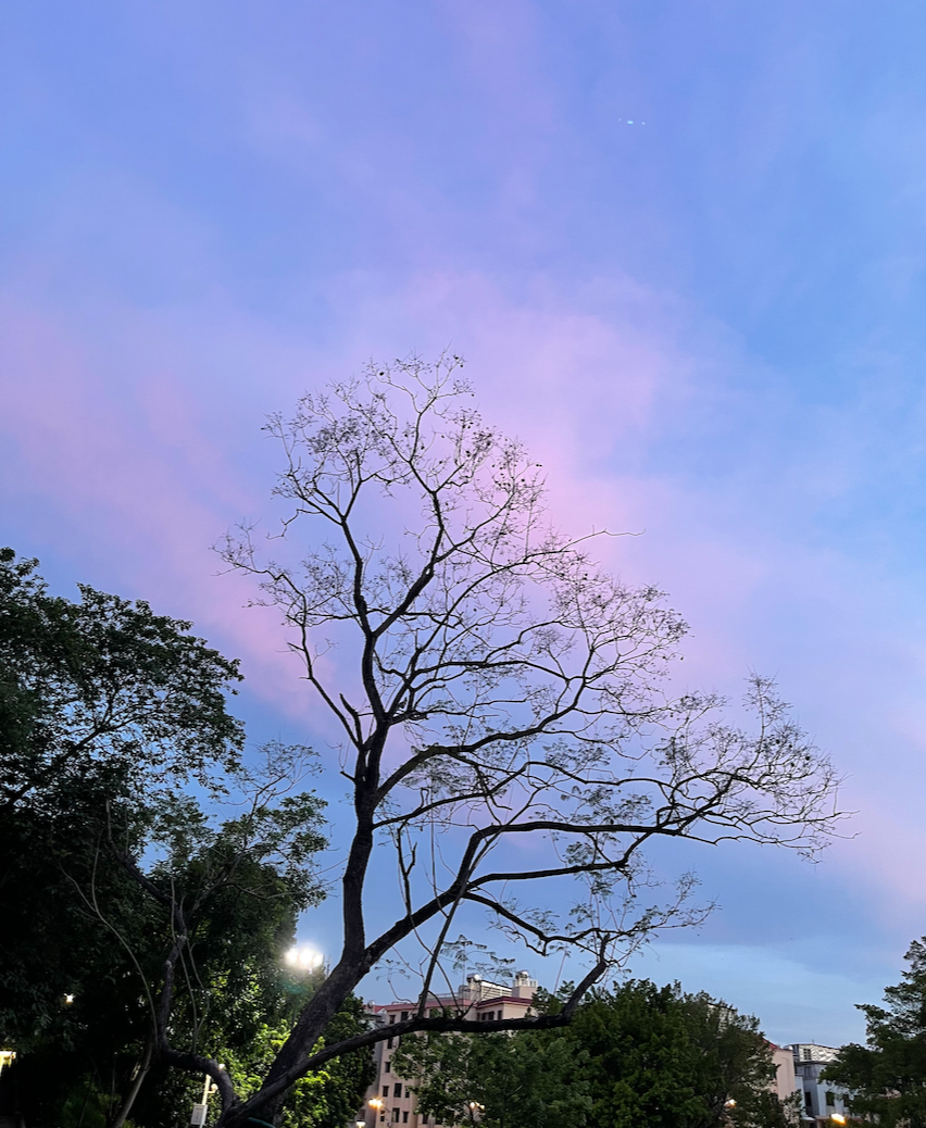 刑辩“胜”经｜|影响律师辩护的9个细节