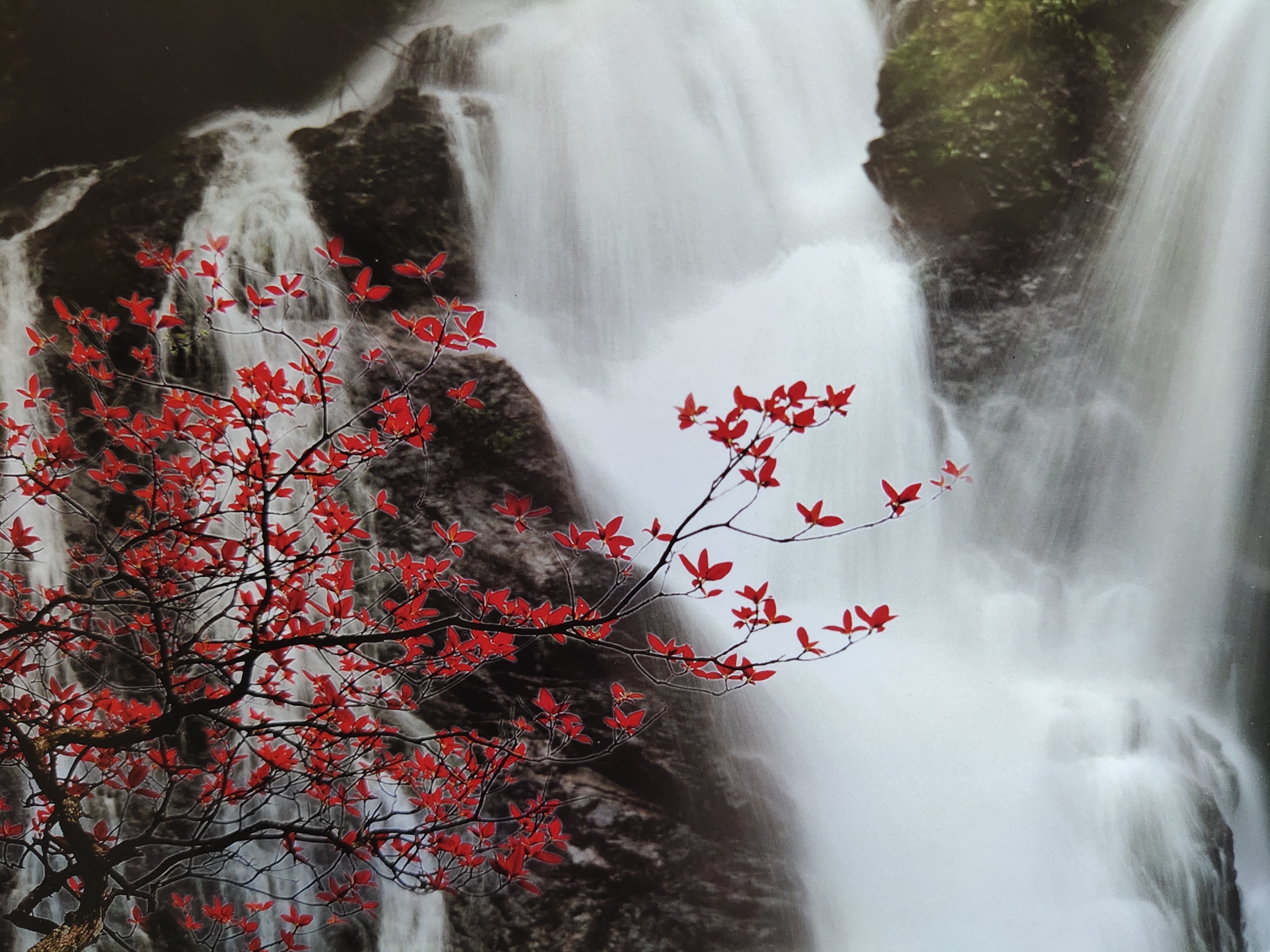 胡刚毅诗歌评论二篇