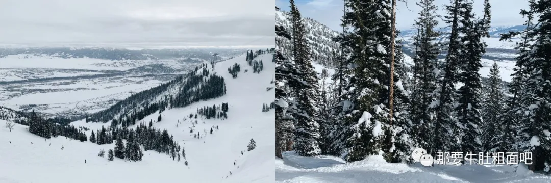 当大雪飞过那个小镇,我哪儿都不去 | 当我滑雪时我在想什么