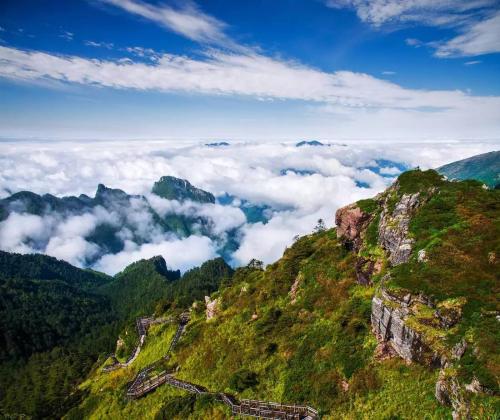 神农架深处为什么进不去?野人一直都存在争议