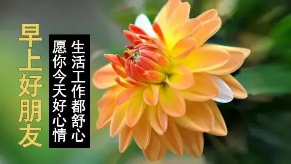 人生如车，或长途，或短途；人生如戏，或喜，或悲，早安