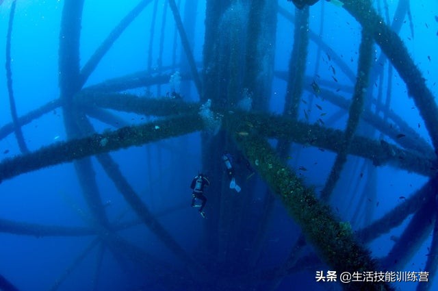 盘点那些容易引起巨物恐惧症患者不适的图片，快来测测吧