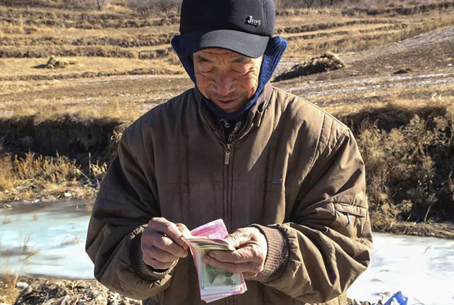 林地承包,林地承包最长期限是多少年?