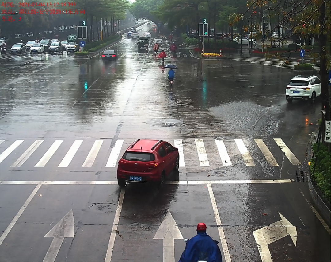 交通违法曝光！