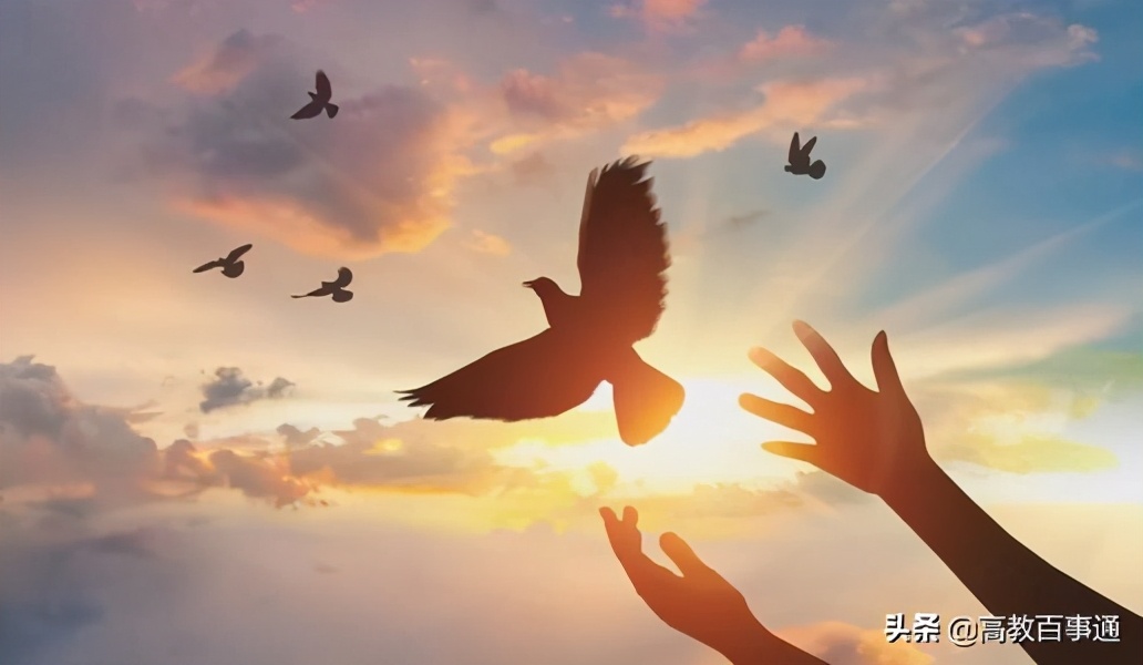 热烈祝贺！河南医学教育再迎新发展——理工大与平院新征程