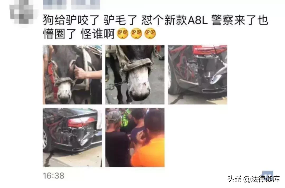 现实神考题！狗把驴咬了→驴受惊→踢坏百万奥迪！责任如何分配？