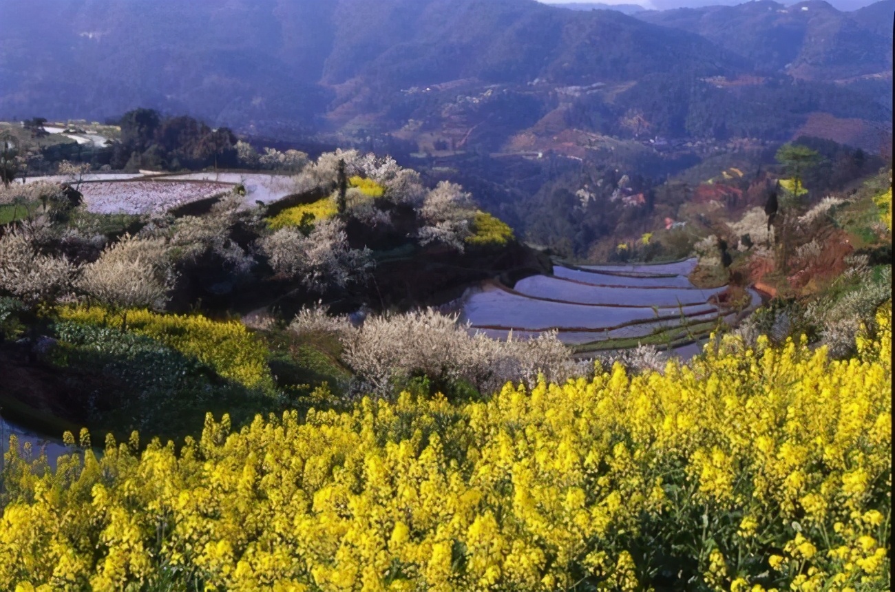 四川新晋4a级景区盘点——宜宾市长宁县佛来山旅游景区