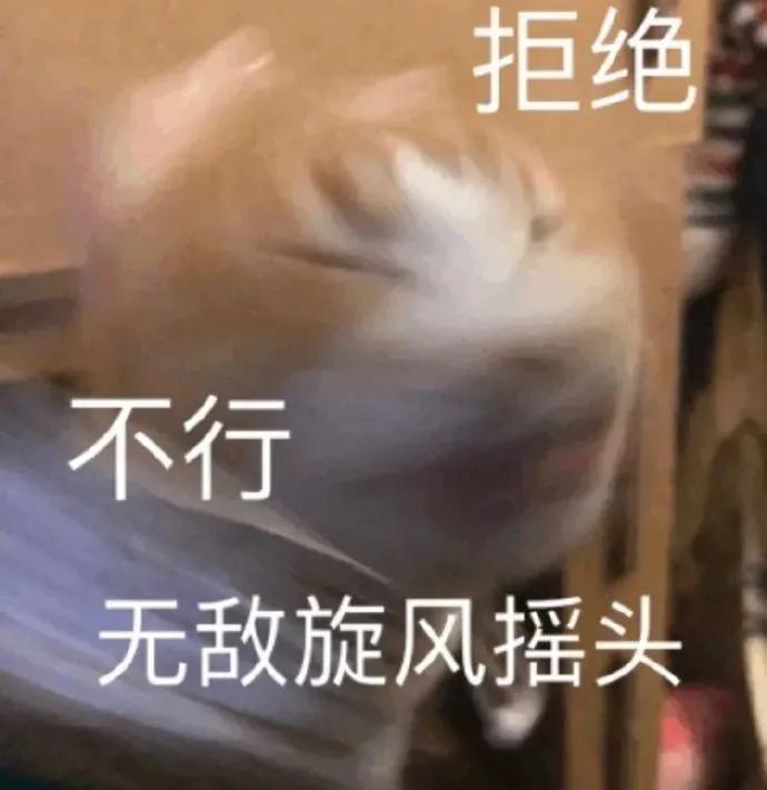 表情包：开心小狗，不请自来