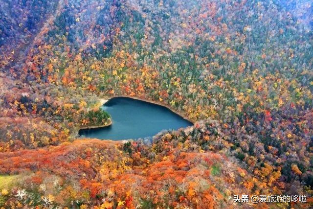 冬天被称为“北海道”，去过这8个观光地是一大乐趣