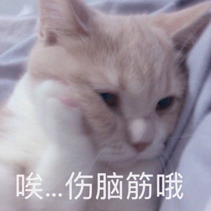 猫咪表情包合集｜我跟你讲，今天就必须带我吃火锅