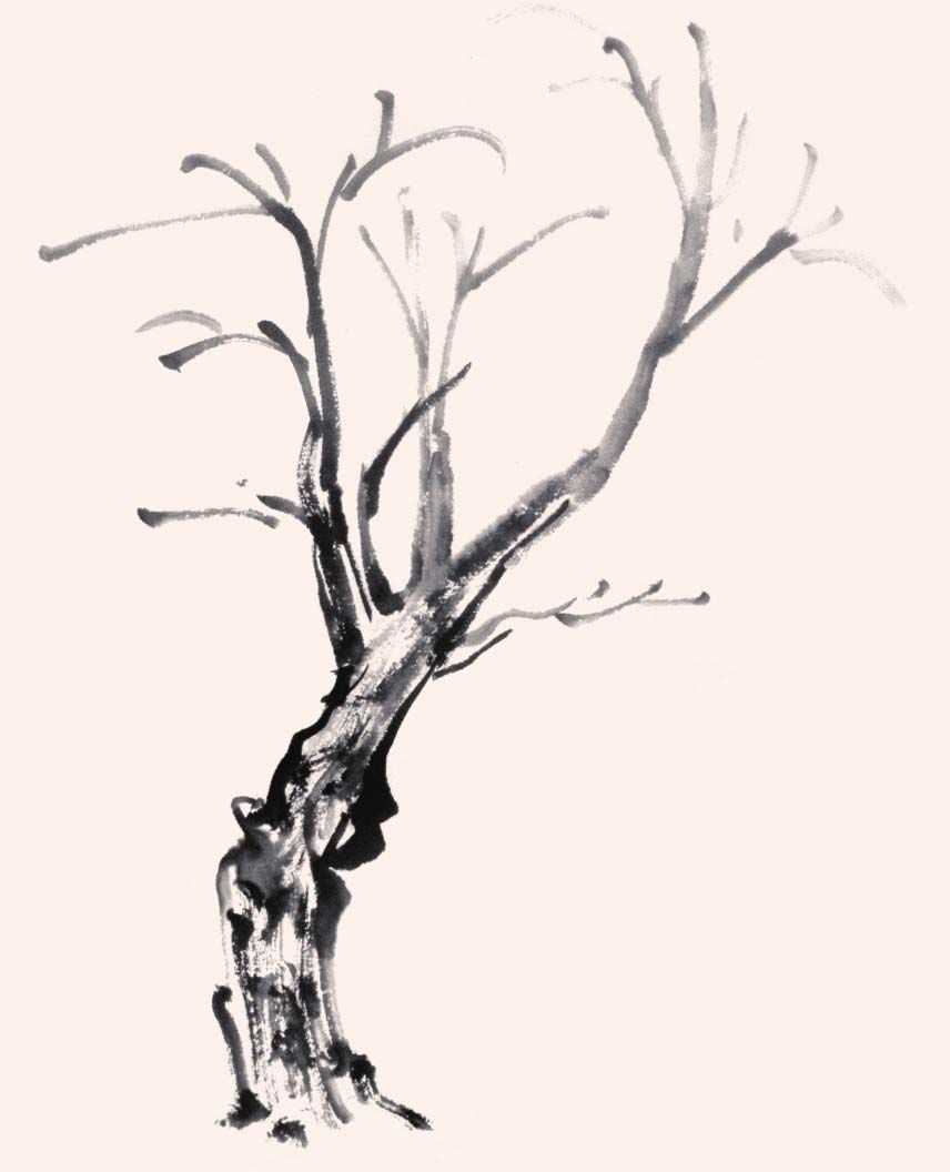 零基础国画教程:分步骤图解教你画3种常见树画法,简单易学