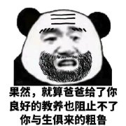 买了条新裤子表情包