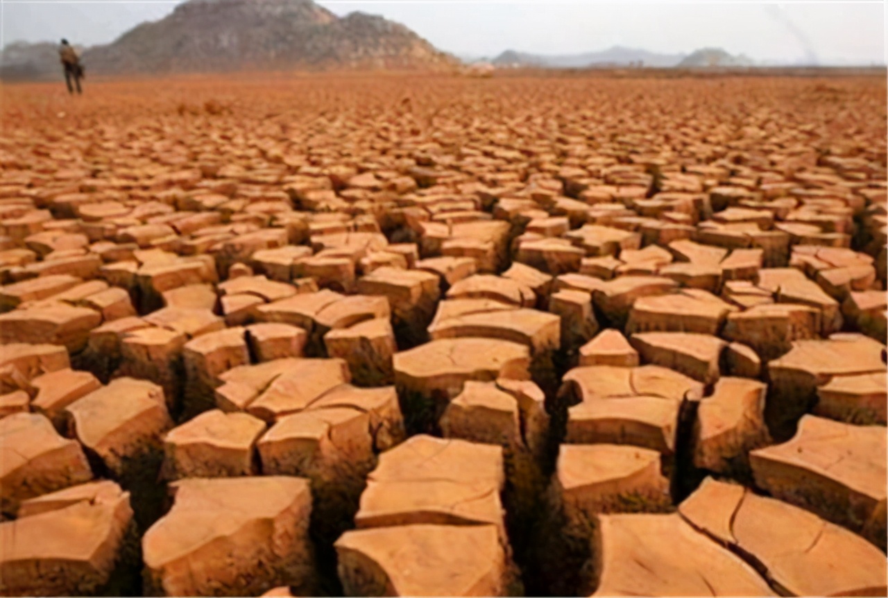非洲大饥荒:1年饿死1600万人,这大概就是地狱的样子