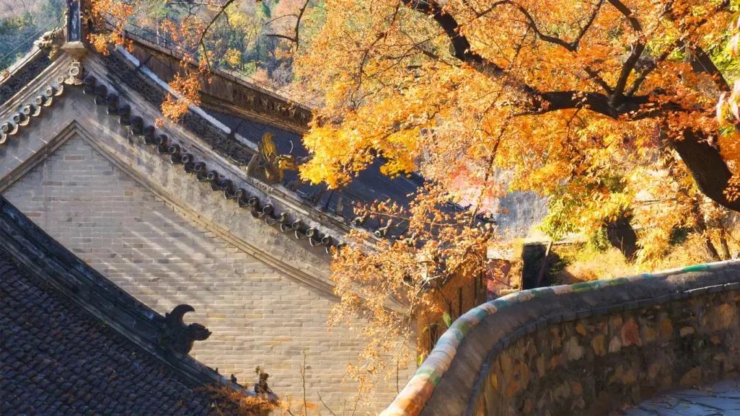 赏秋时节 </p><p> <p align=