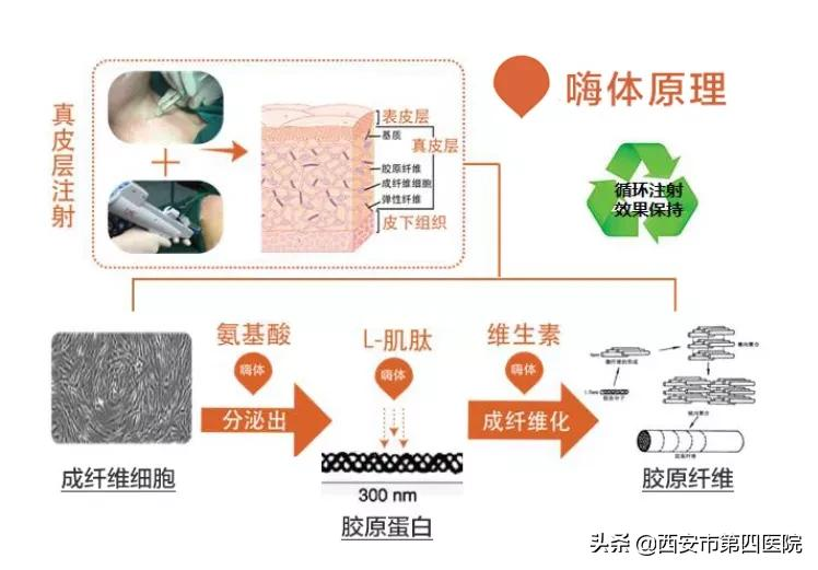#安心变美课堂##我的安心变美推荐# 颈纹霜对抗颈纹到底有用吗?