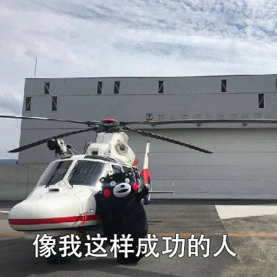 熊本熊搬砖系列表情包：我是做MU30多孔页岩长方体物理空间移动的