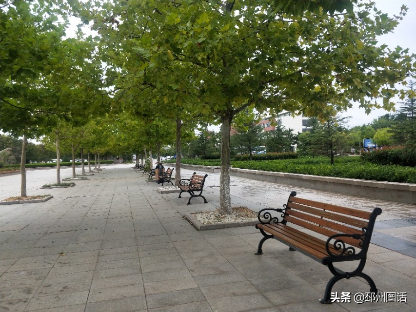 美丽的校园，威海职业学院