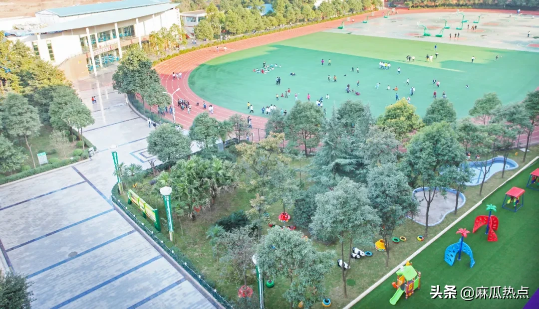 眉山小学、初中招生信息来了，家长们最关心的东西