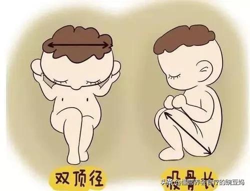 怀孕八个月,彩超医生说孩子腿长,这是什么意思?