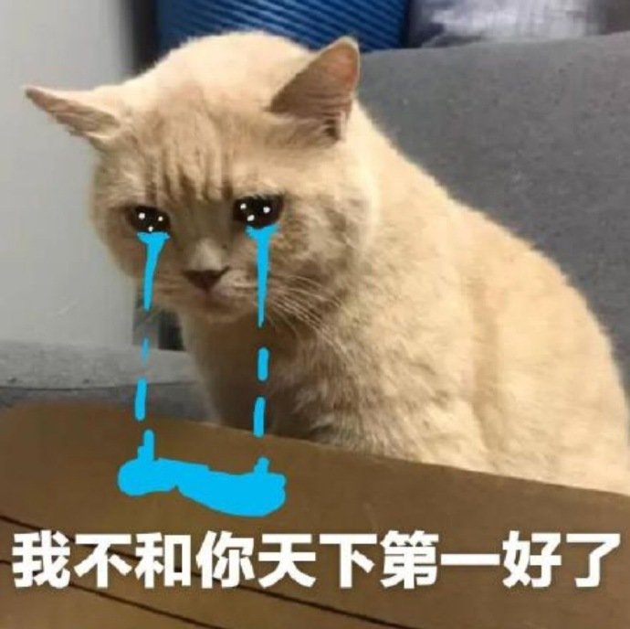 猫咪表情包合集｜我不和你天下第一好了