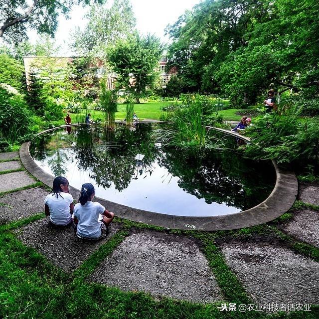 中国农大，荷兰农大，美国农大，日本农大，谁是世界第一农大