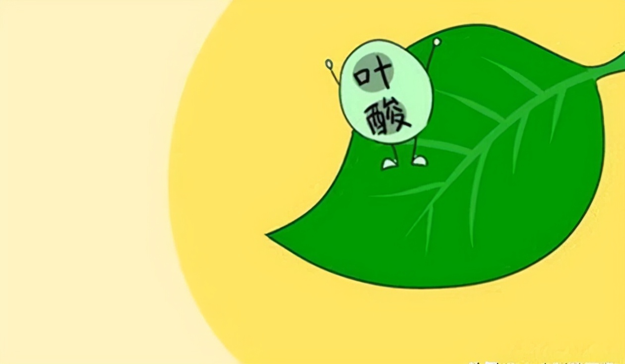 女性每天服用一片叶酸(女性每天服用一片叶酸片)