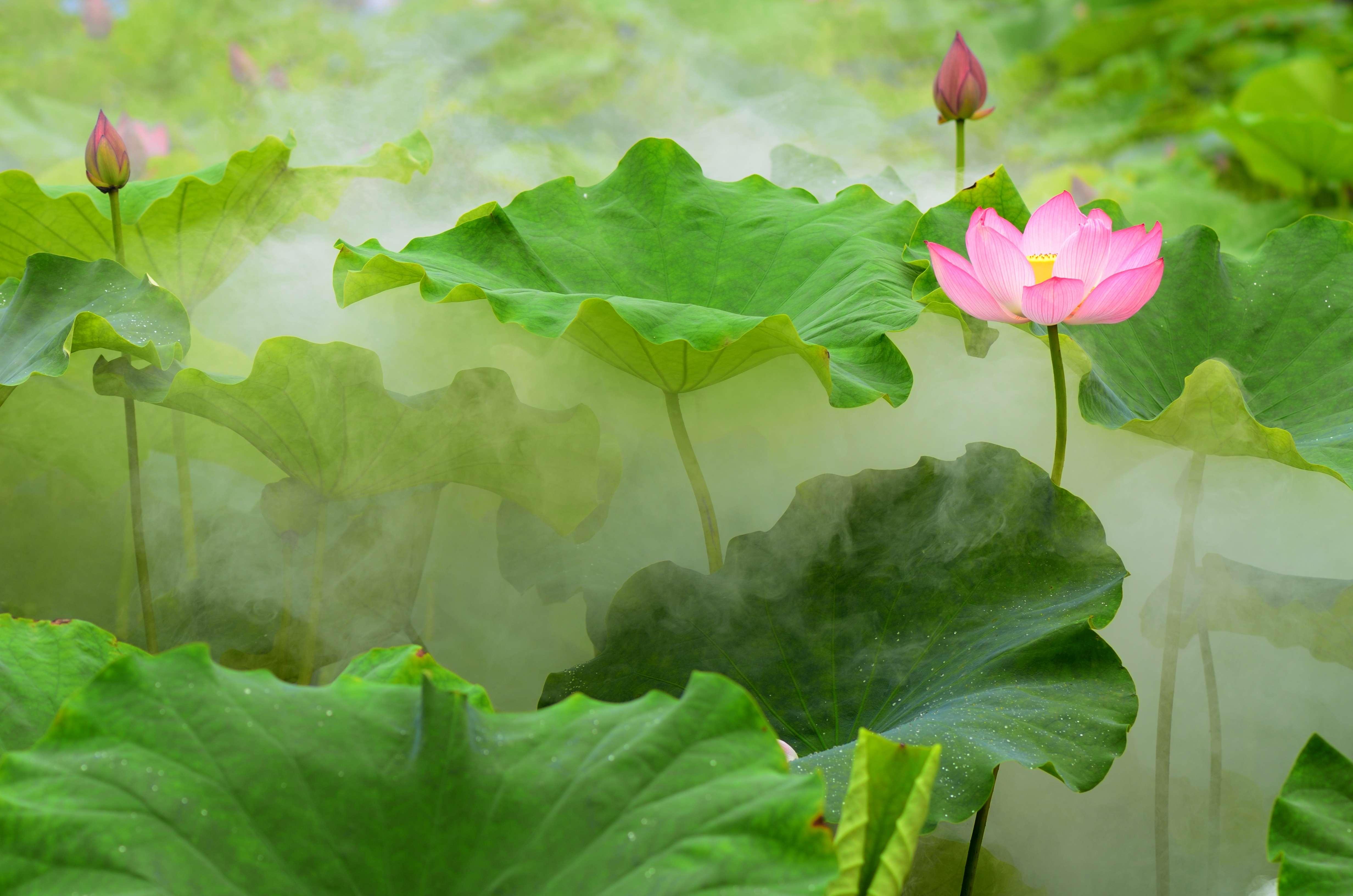 李商隐绝笔之作,一首唐诗极尽悲凉,前两句14字有4字重复