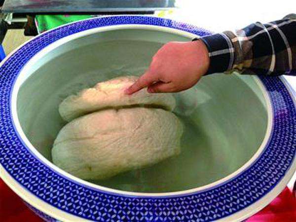 不是动物不是植物不死不灭,"太岁"为什么如此逆天?