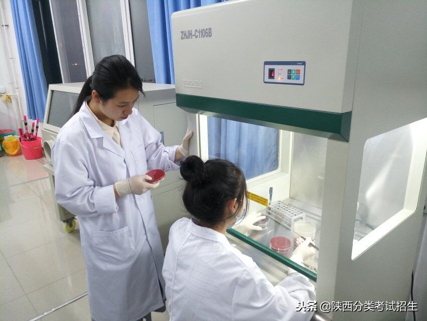 魅丽校园行之-商洛职业技术学院