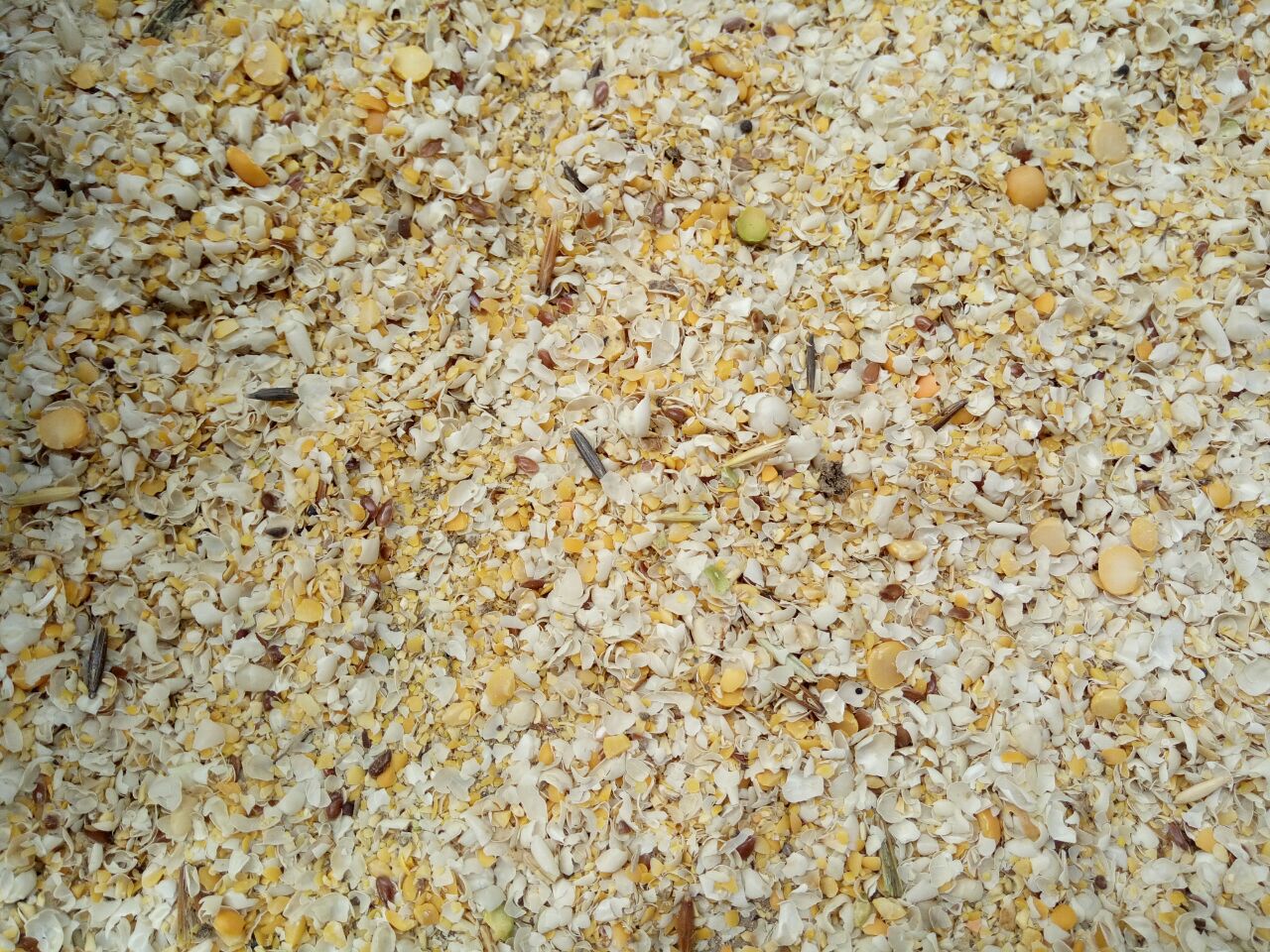 養牛的利潤與成本,養牛的利潤與成本計算