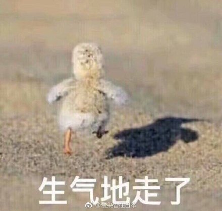 生气表情包：滚开