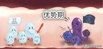 益生菌吃不吃?怎么吃?关于益生菌,一篇全知道