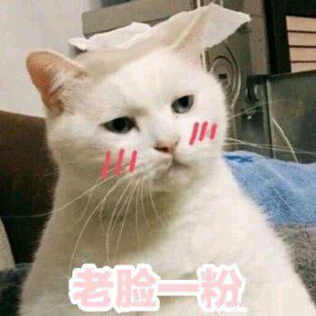 害羞捂脸的表情包我都不好意思了
