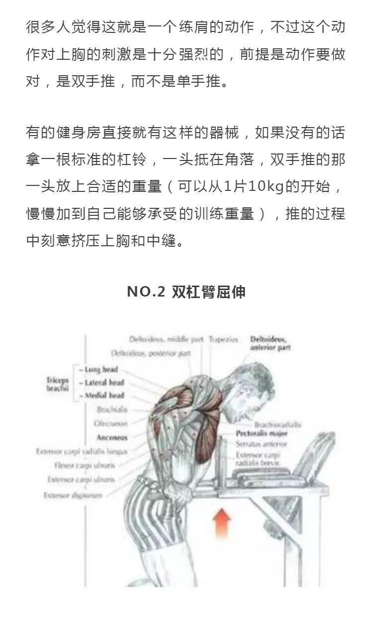 練胸只會臥推？這次讓你漲姿勢！