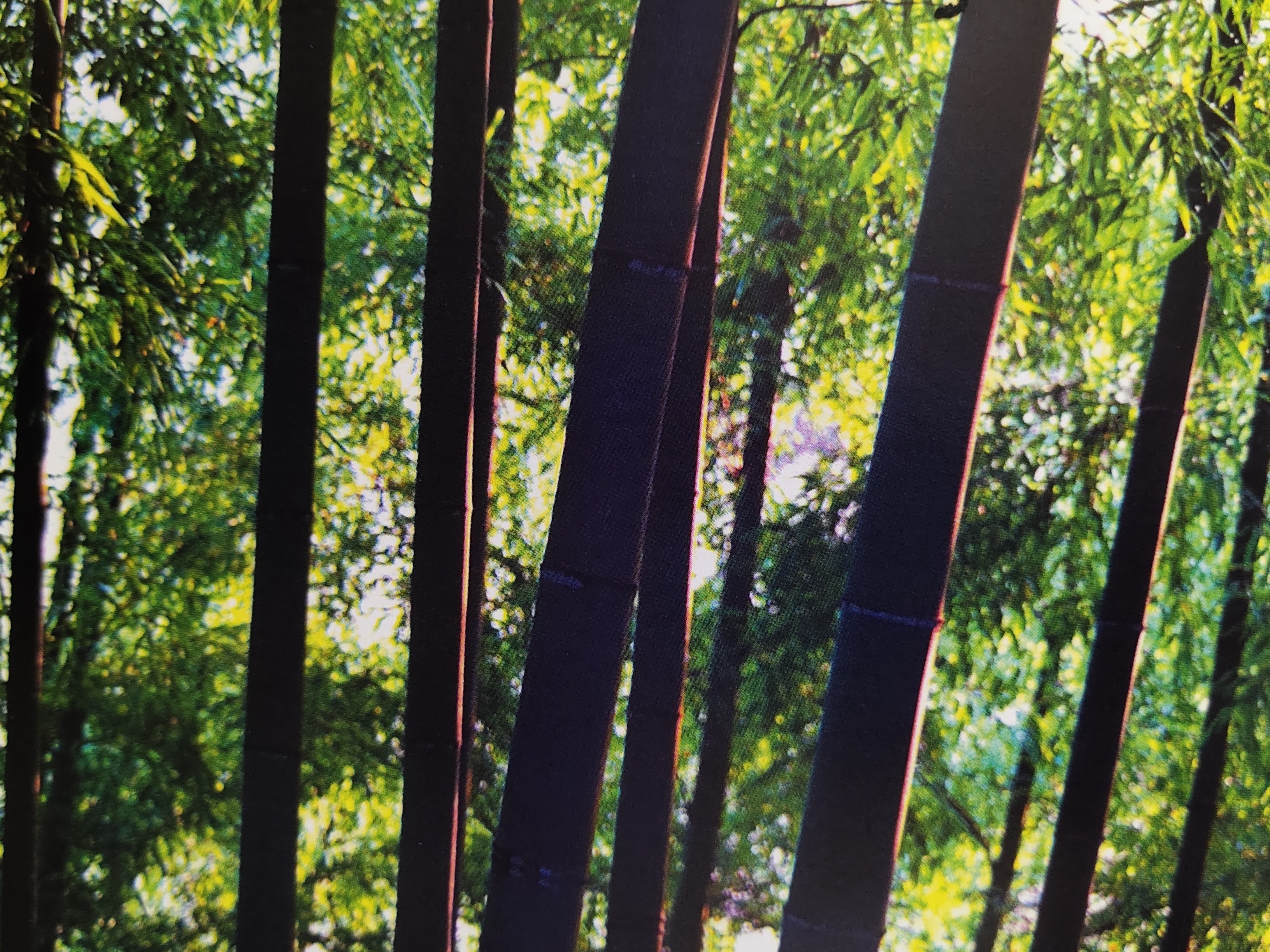 胡刚毅诗歌评论二篇